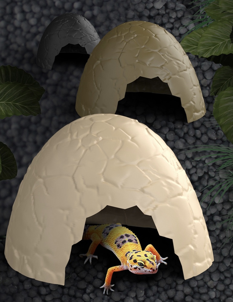 노모이 알껍데기 은신처