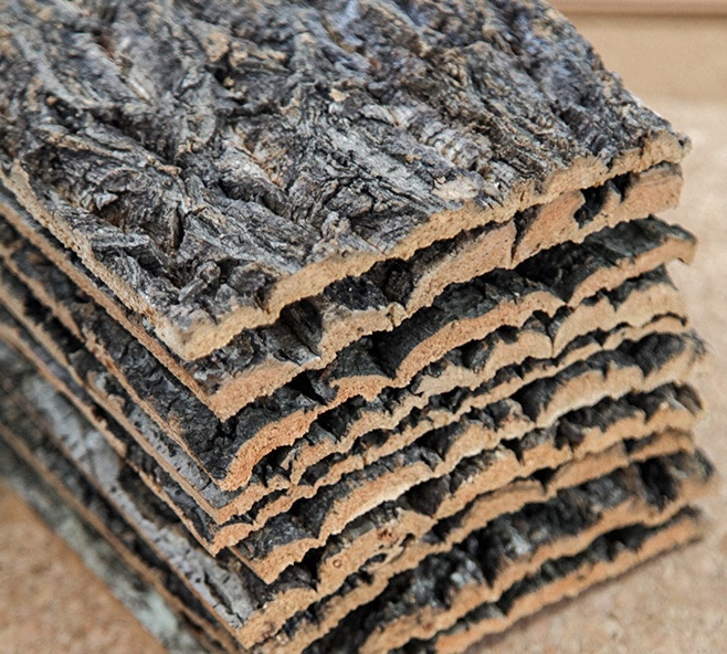 리얼트리 껍질보드