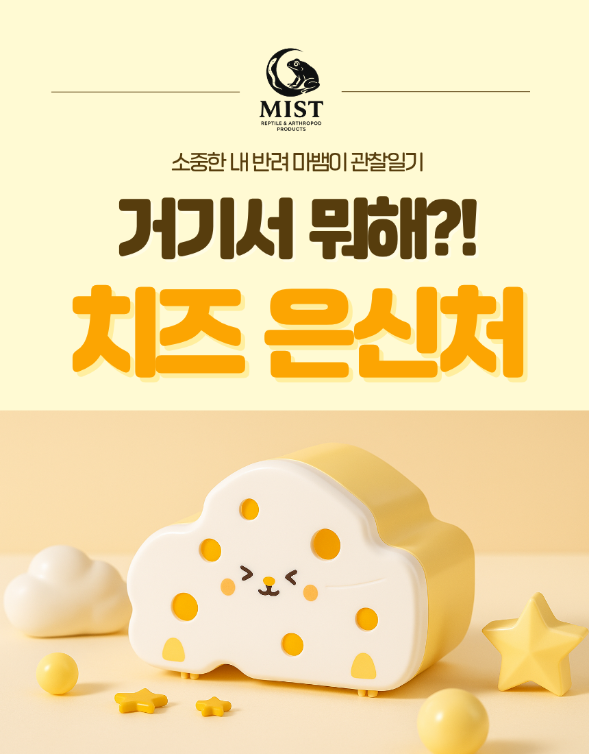 거기서 뭐해?! 치즈 자석은신처